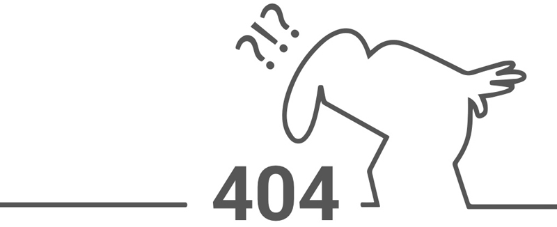 404 error